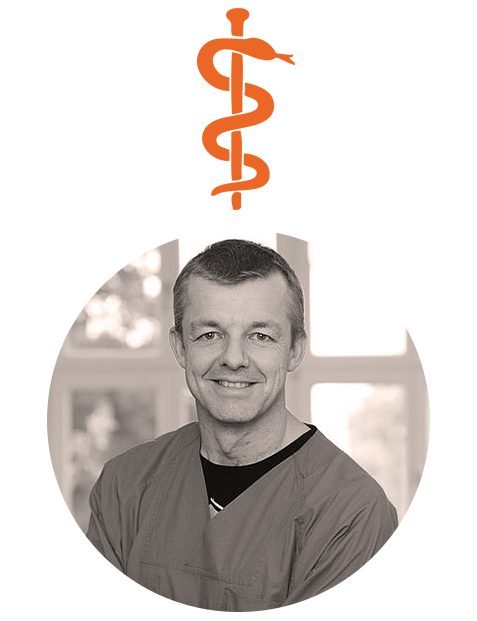 team image